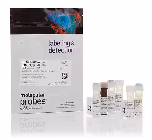 Cellrox deep red flow cytometry assay kit- 100 réactions