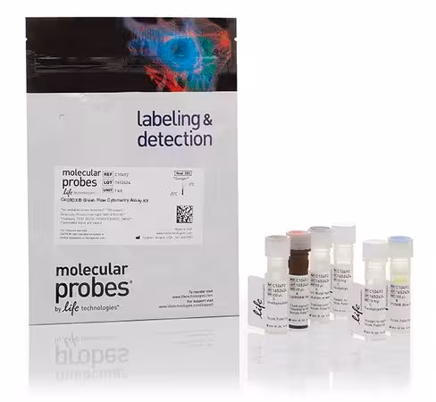 Cellrox green flow cytometry assay kit- 100 réactions