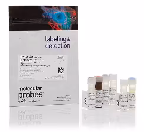 Cellrox orange flow cytometry assay kit- 100 réactions