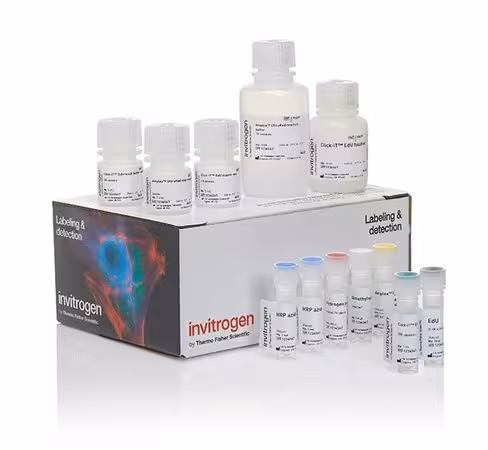 Click-it edu proliferation assay for microplates- 400 réactions