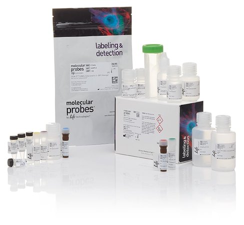 Click-it tunel colorimetric ihc detection kit-1 kit