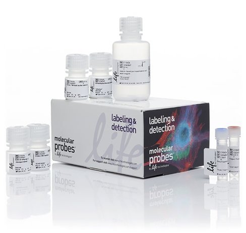 Click-it plus edu alexa fluor 647 flow cytometry assay kit- 50 réactions