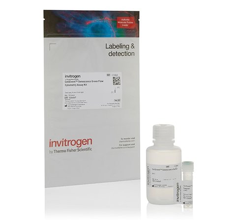 Cellevent senescence green flow cytometry assay kit- 50 réactions