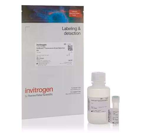 Cellevent senescence green detection kit-25 µL