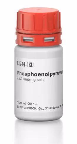 Phosphoenolpyruvate carboxylase 1 KU