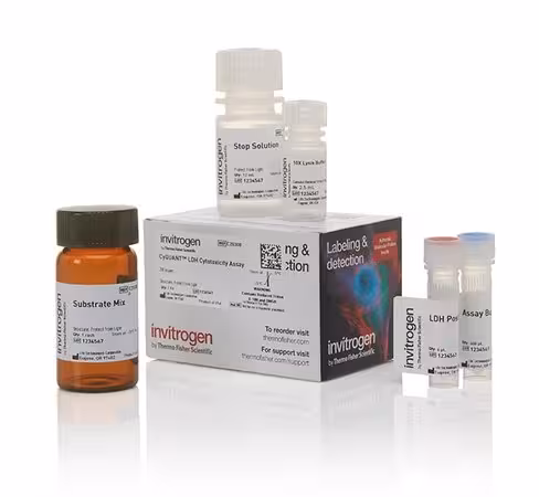 Cyquant ldh cytotoxicity assay- 200 réactions