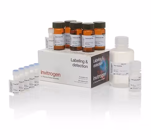 Cyquant ldh cytotoxicity assay-1000 assays 1000 pack