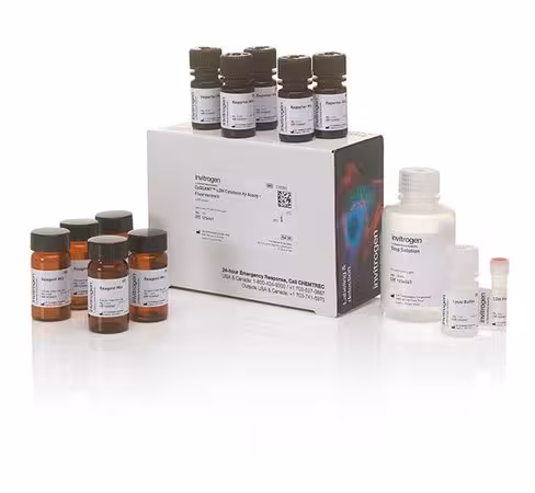 Cyquant ldh cytotoxicity assay, fluorescence-1000 assays 1000 pack