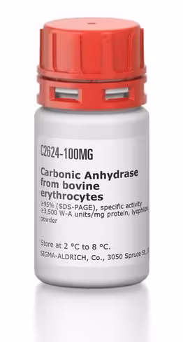 Carbonic anhydrase bovine 100 mg