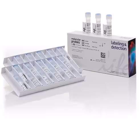 Celltrace oregon green 488 carboxylic acid diacetate, succinimidyl ester (carboxy-dffda, se)-20 x 50 µg