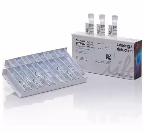 Celltrace calcein red-orange, am - special packaging-20 x 50 µg