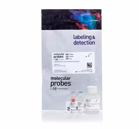 Cyquant nf cell proliferation assay- 1000 réactions