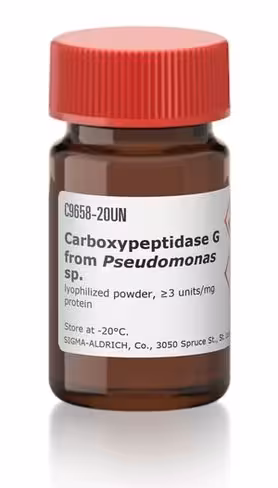 Carboxypeptidase g from pseudomonas sp. 5 U