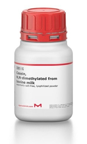 Casein n,n-dimethylated from bovine mil 1 g
