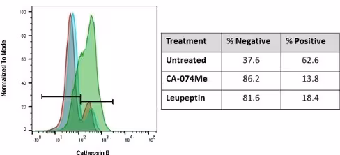Green cathepsin b assay 25 pcs