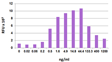Recombinant Human CCL21 (6CKine) (carrier-free) 25 µg