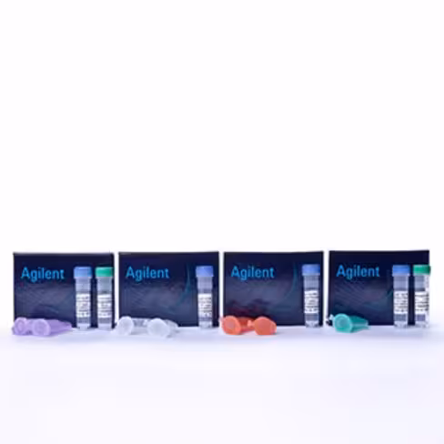 SoloPack Gold SuperCompetent Cells 15 reactions