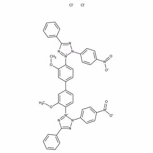 Nitro Blue Tetrazolium Chloride monohydrate 9 0% 5 g