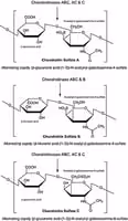 Chondroitinase abc from proteus vulgaris 10 U