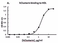 Recombinant Human Clusterin (carrier-free) 100 µg