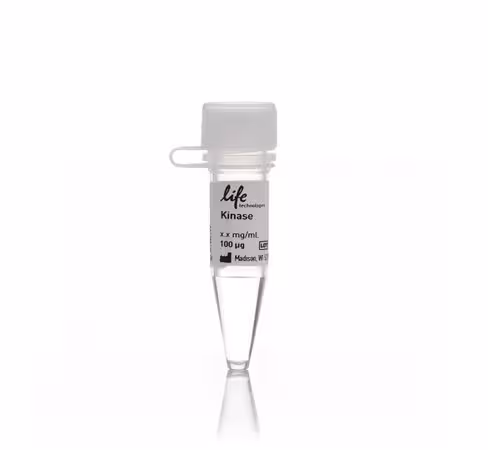 Pik3cd/pik3r1 (p110 delta/p85 alpha) recombinant human protein, his tag-100 µg