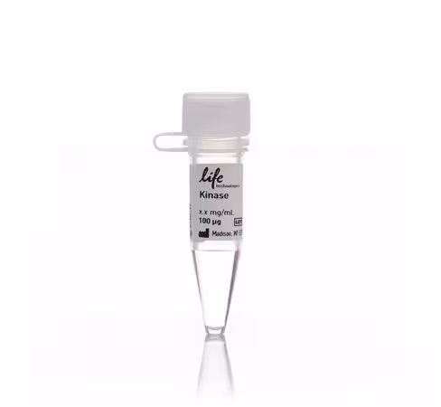 Alk recombinant human protein-100 µg