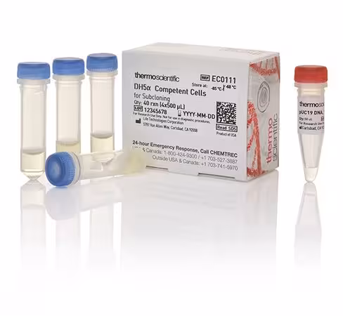 Dh5a competent cells for subcloning- 40 réactions