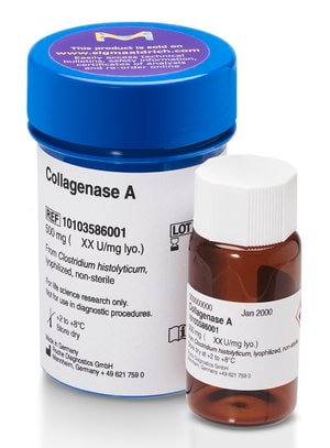 Collagenase A from Clostridium histolyticum, 100 mg