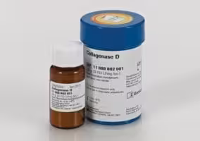 Collagenase D from Clostridium histolyticum, 500 mg