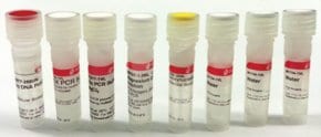 Pcr core kit with taq dna polymerase 1 kit