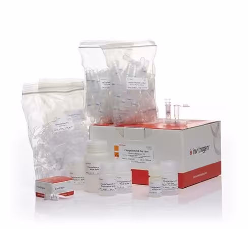 Chargeswitch pro filter plasmid mini kit-100 preps