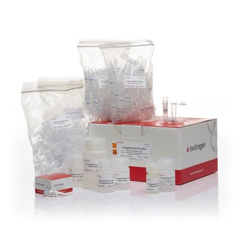 Chargeswitch pro filter plasmid mini kit-100 preps