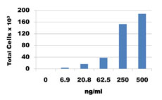 Recombinant Mouse CX3CL1 (Fractalkine) (carrier-free) 10 µg