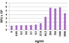 Recombinant Human CXCL10 (IP-10) (carrier-free) 10 µg