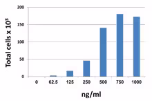 Recombinant Human CXCL13 (carrier-free) 25 µg
