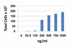 Recombinant Mouse CXCL13 (carrier-free) 25 µg