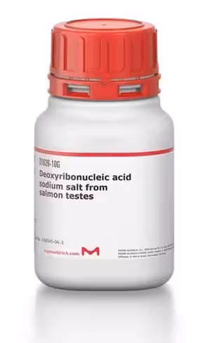 Deoxyribonucleic acid sodium salt from salmon testes, 10 g