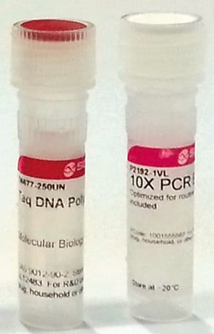 Taq dna polymerase with 10x reaction 20x250u 20X250 U