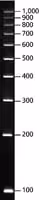 Directload pcr 100 bp low ladder r 1 VL