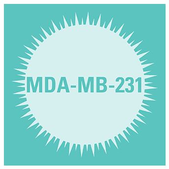 Mda-mb-231 human breast cancer aggressive invasive/metastatic cell line: sup à1x10^10 frozen