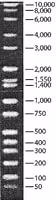 Directload wide range dna marker r 1 VL