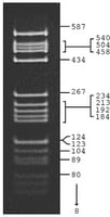 Pbr322 hae iii digest for dna electrop 0,1 mg