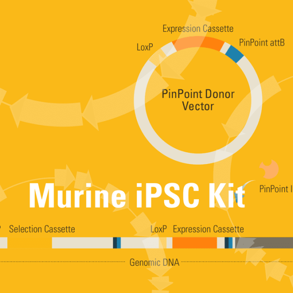 Pinpoint-fc murine ipsc platform kit for targeted gene insertion 1 kit