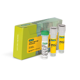 DdPCR BRAF V600 Screening Kit