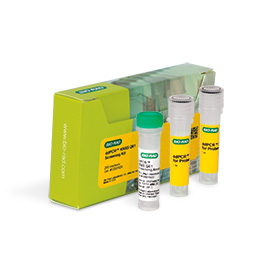 DdPCR KRAS Q61 Screening Kit
