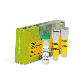 DdPCR NRAS G12/G13 Screening Kit