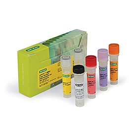 DdPCR SMN2 CNV 200 RXNS 1 Kit