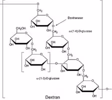 Dextranase partially purified 500 U