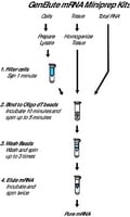 Genelute direct mrna miniprep kit 1 kit