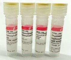 Deoxynucleotide set 10 mm 0,5 ml each 1 kit